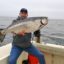 Salmon Season in Bodega Bay